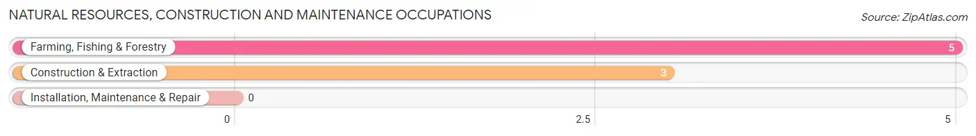 Natural Resources, Construction and Maintenance Occupations in Zip Code 19936