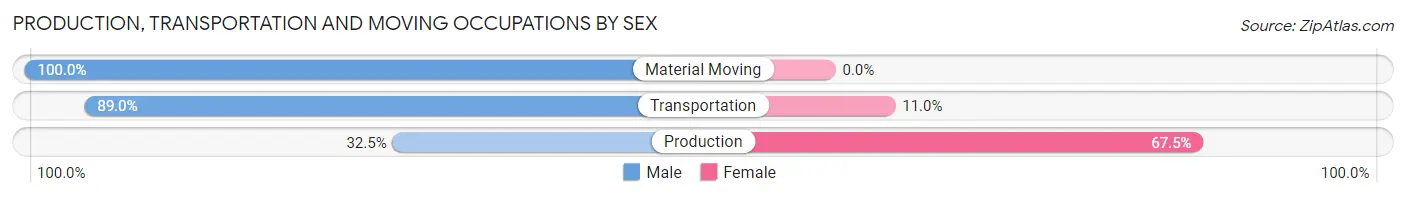 Production, Transportation and Moving Occupations by Sex in Zip Code 19945