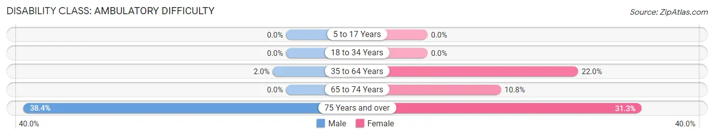 Disability in Zip Code 19951: <span>Ambulatory Difficulty</span>