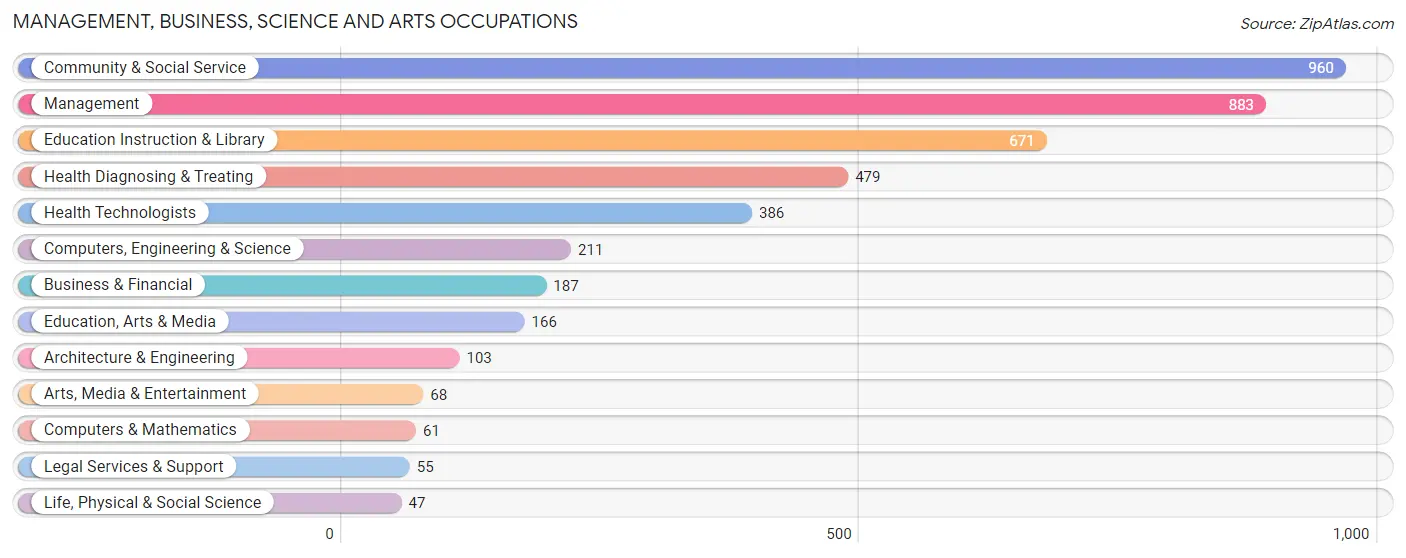 Management, Business, Science and Arts Occupations in Zip Code 19968