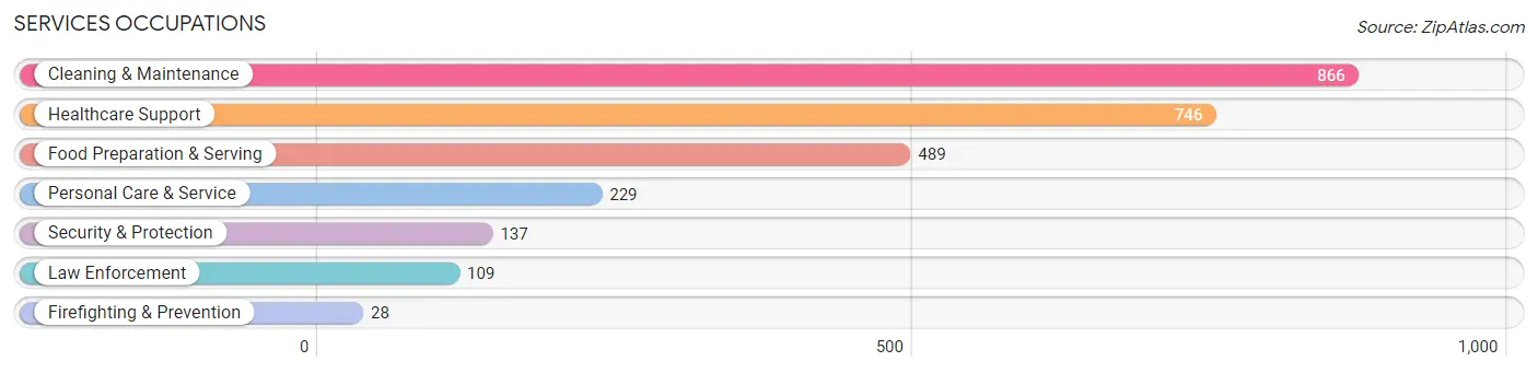 Services Occupations in Zip Code 19973