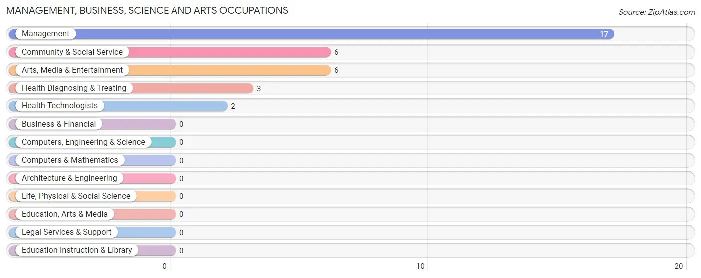 Management, Business, Science and Arts Occupations in Zip Code 19980