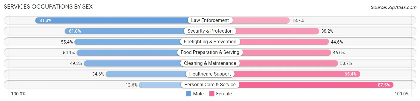 Services Occupations by Sex in Zip Code 20002