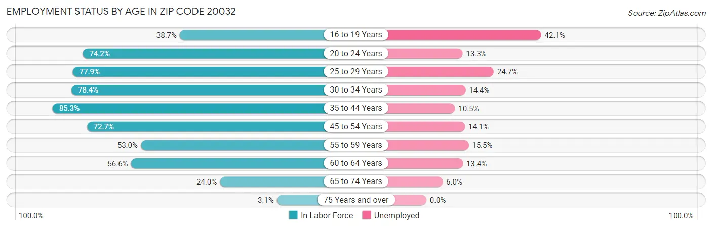 Employment Status by Age in Zip Code 20032