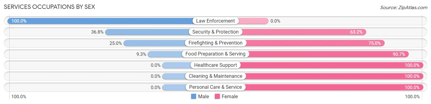 Services Occupations by Sex in Zip Code 20064