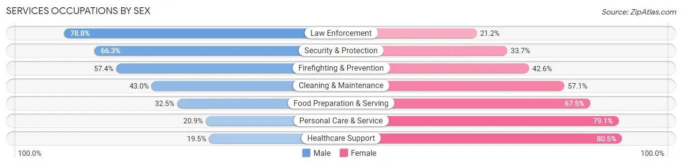 Services Occupations by Sex in Zip Code 20110