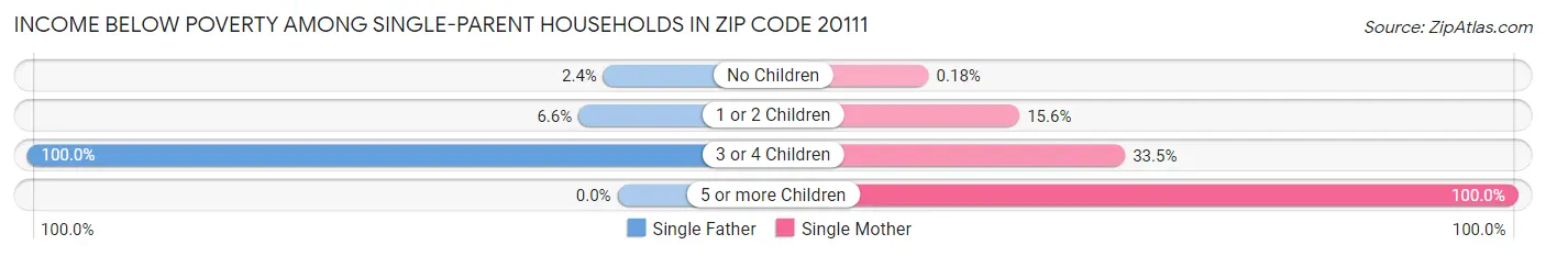 Income Below Poverty Among Single-Parent Households in Zip Code 20111