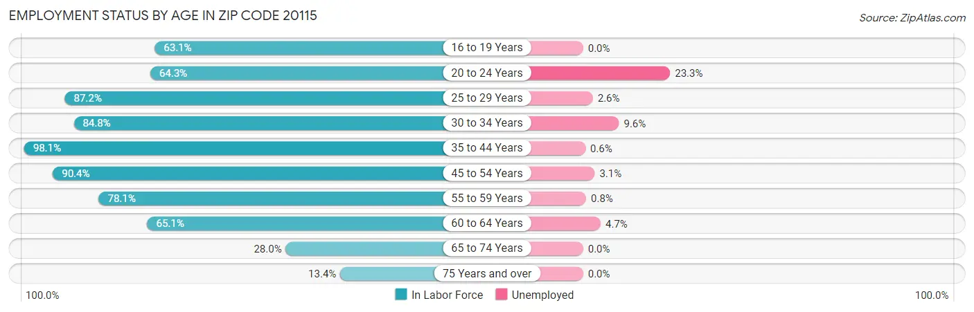 Employment Status by Age in Zip Code 20115