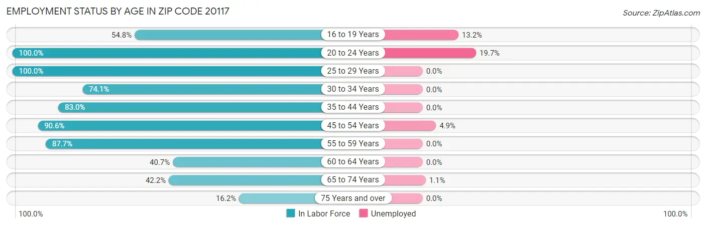 Employment Status by Age in Zip Code 20117