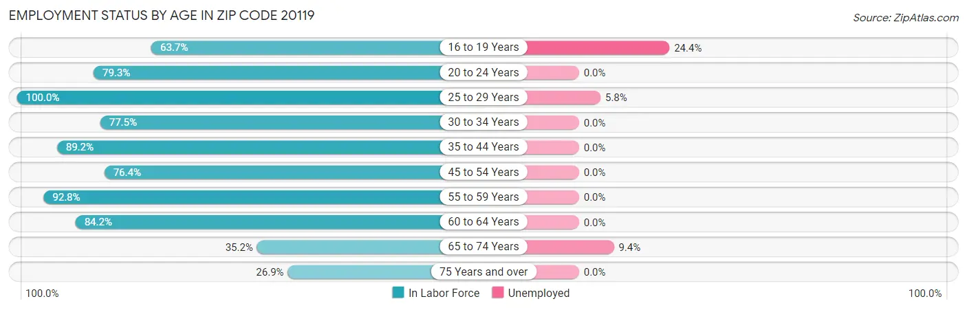 Employment Status by Age in Zip Code 20119
