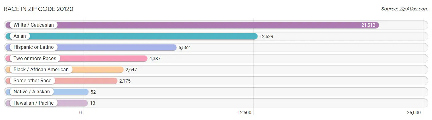 Race in Zip Code 20120