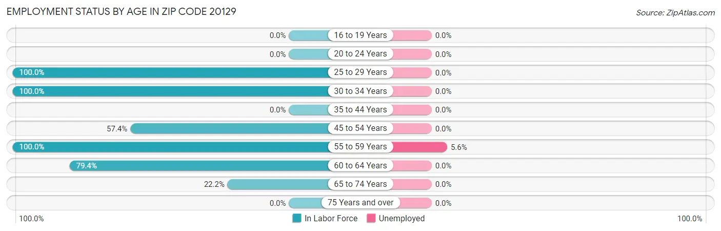Employment Status by Age in Zip Code 20129