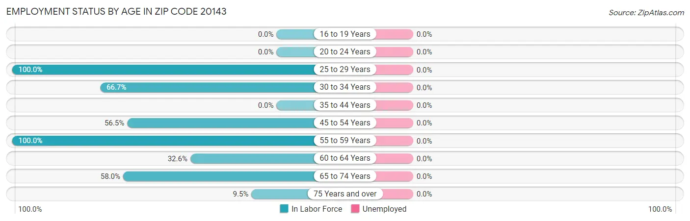 Employment Status by Age in Zip Code 20143