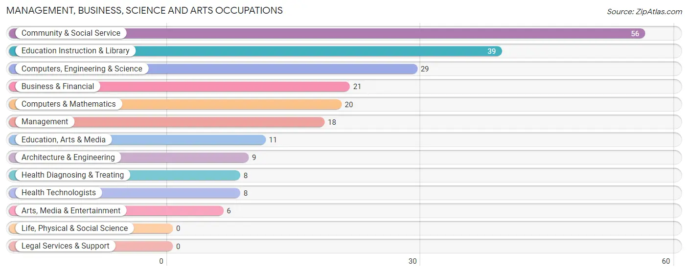 Management, Business, Science and Arts Occupations in Zip Code 20143