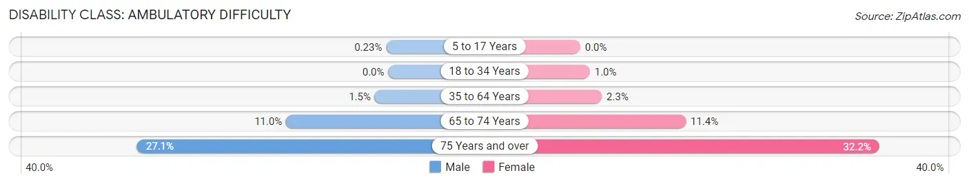 Disability in Zip Code 20147: <span>Ambulatory Difficulty</span>