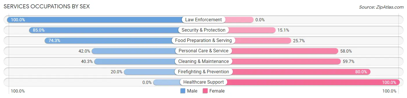 Services Occupations by Sex in Zip Code 20166