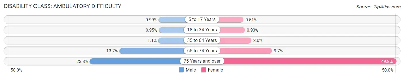 Disability in Zip Code 20170: <span>Ambulatory Difficulty</span>