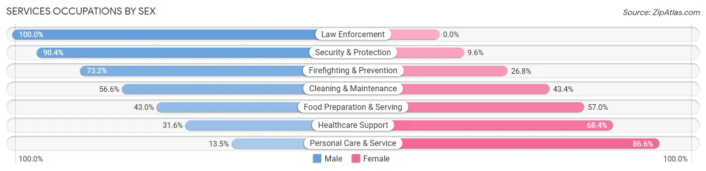 Services Occupations by Sex in Zip Code 20176