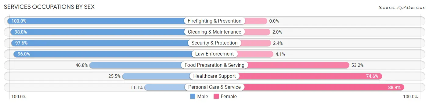 Services Occupations by Sex in Zip Code 20180