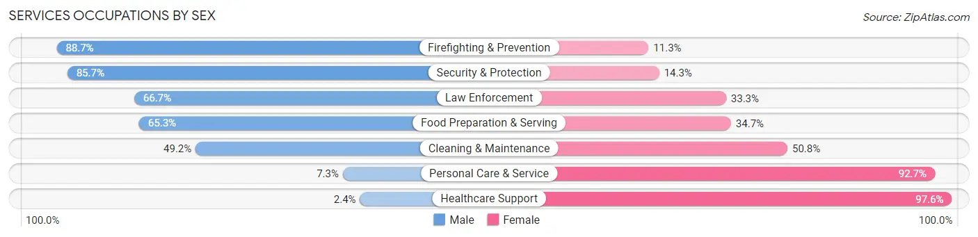 Services Occupations by Sex in Zip Code 20191