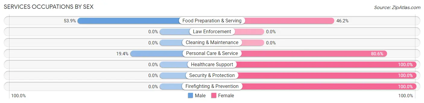 Services Occupations by Sex in Zip Code 20198