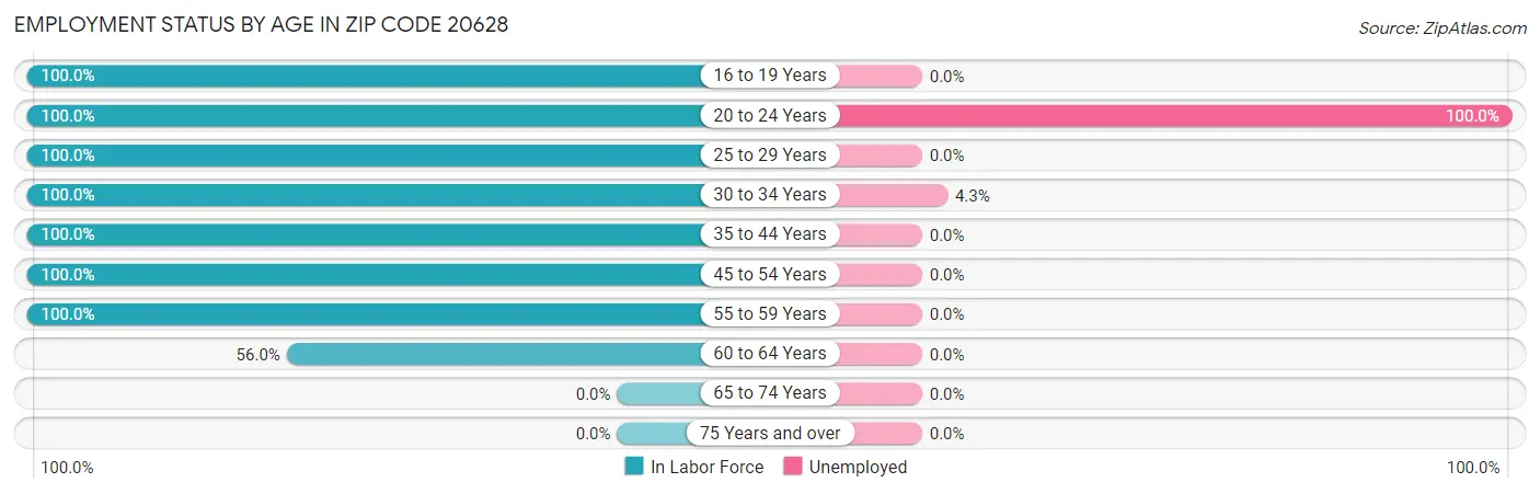 Employment Status by Age in Zip Code 20628