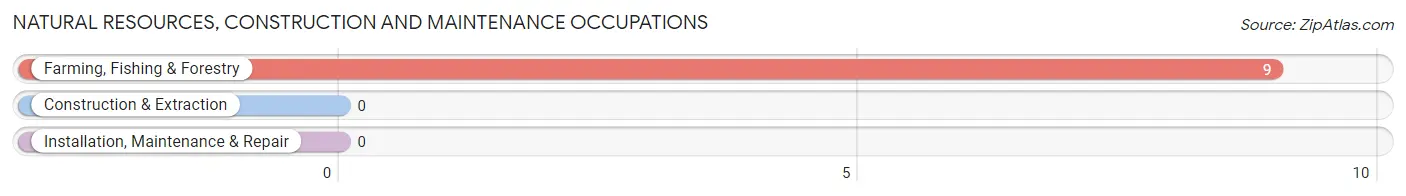 Natural Resources, Construction and Maintenance Occupations in Zip Code 20686