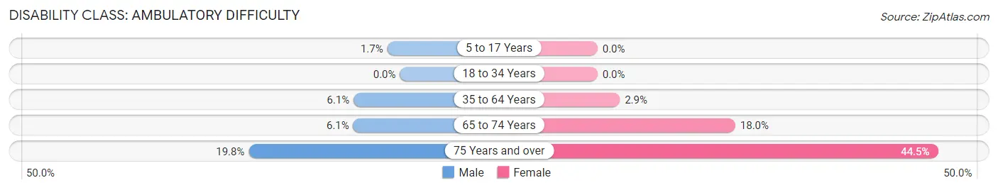 Disability in Zip Code 20705: <span>Ambulatory Difficulty</span>