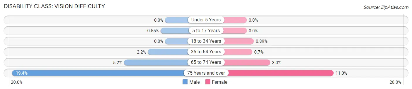 Disability in Zip Code 20705: <span>Vision Difficulty</span>