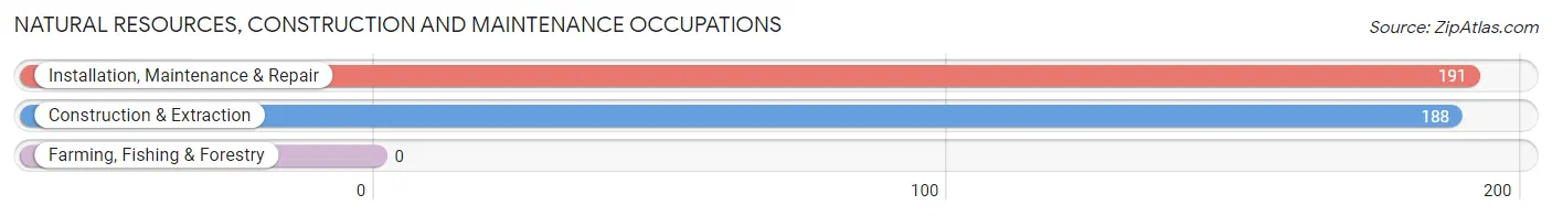 Natural Resources, Construction and Maintenance Occupations in Zip Code 20721