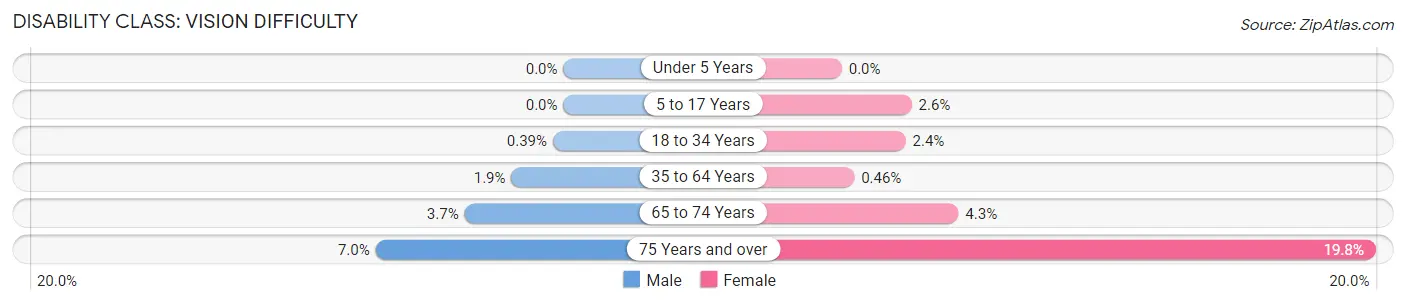 Disability in Zip Code 20722: <span>Vision Difficulty</span>