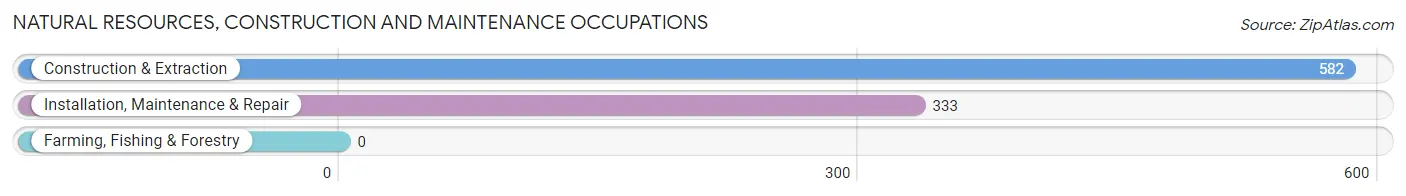 Natural Resources, Construction and Maintenance Occupations in Zip Code 20723