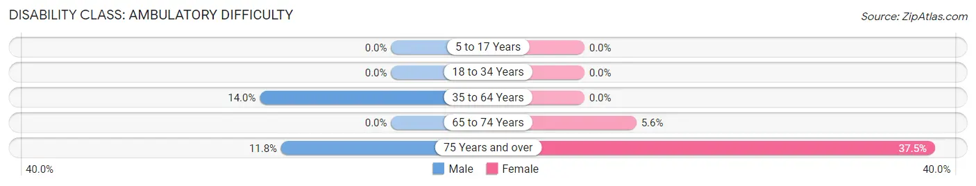 Disability in Zip Code 20812: <span>Ambulatory Difficulty</span>