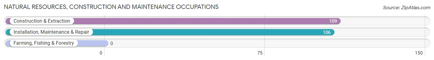 Natural Resources, Construction and Maintenance Occupations in Zip Code 20855