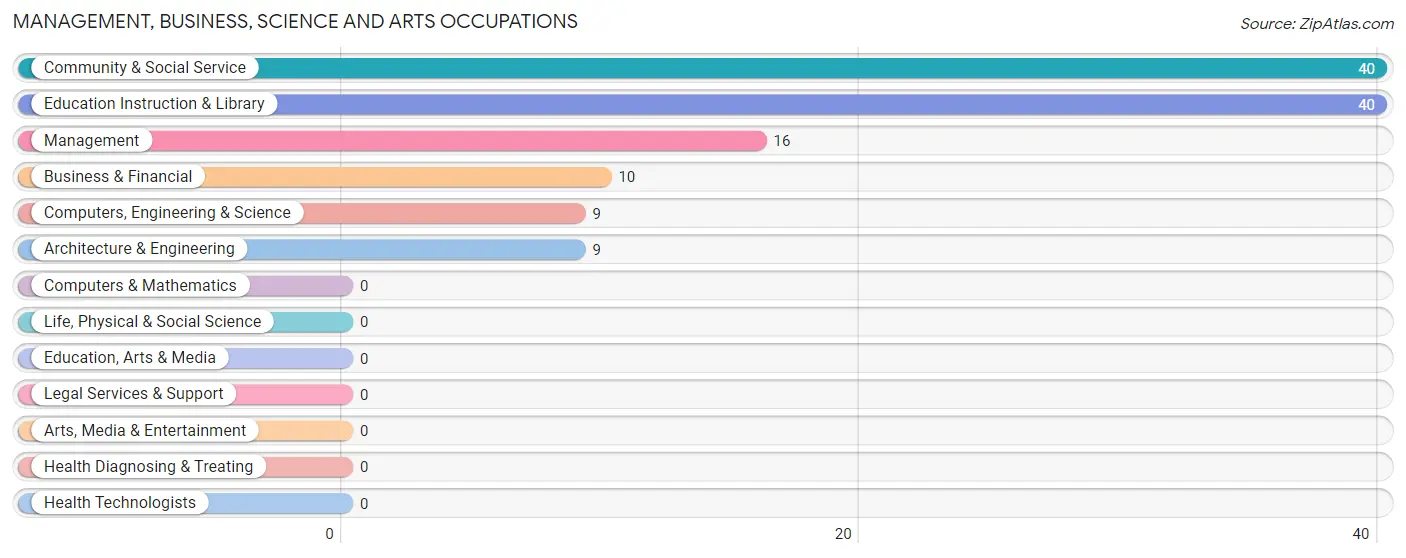 Management, Business, Science and Arts Occupations in Zip Code 20862