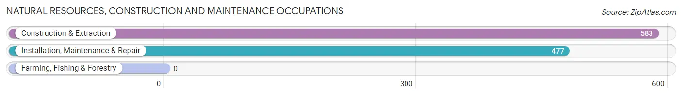 Natural Resources, Construction and Maintenance Occupations in Zip Code 20879