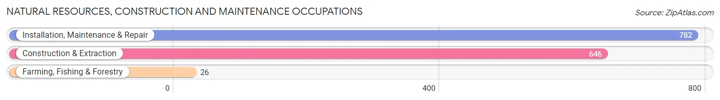 Natural Resources, Construction and Maintenance Occupations in Zip Code 21009