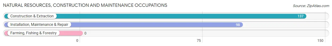 Natural Resources, Construction and Maintenance Occupations in Zip Code 21017