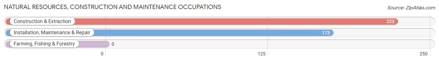 Natural Resources, Construction and Maintenance Occupations in Zip Code 21114