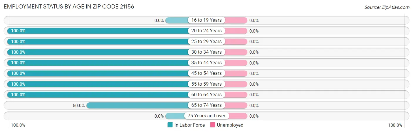 Employment Status by Age in Zip Code 21156