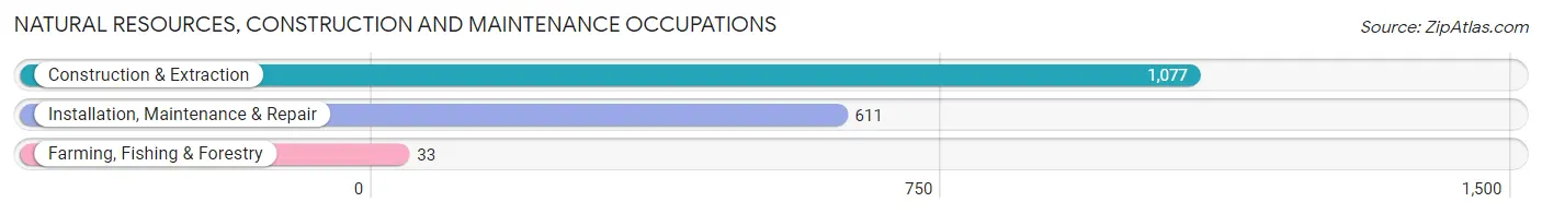 Natural Resources, Construction and Maintenance Occupations in Zip Code 21225