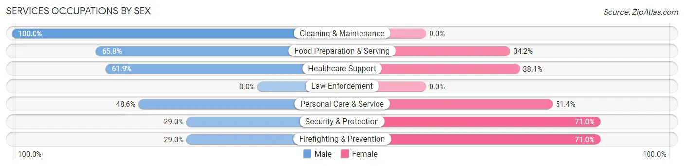 Services Occupations by Sex in Zip Code 21737