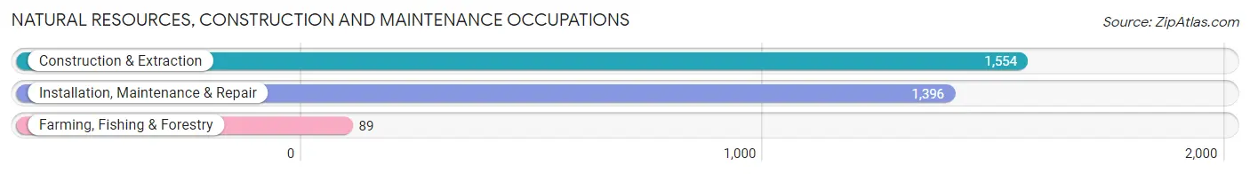 Natural Resources, Construction and Maintenance Occupations in Zip Code 21740