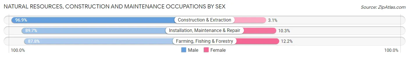 Natural Resources, Construction and Maintenance Occupations by Sex in Zip Code 21784