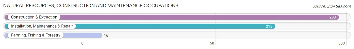 Natural Resources, Construction and Maintenance Occupations in Zip Code 21787