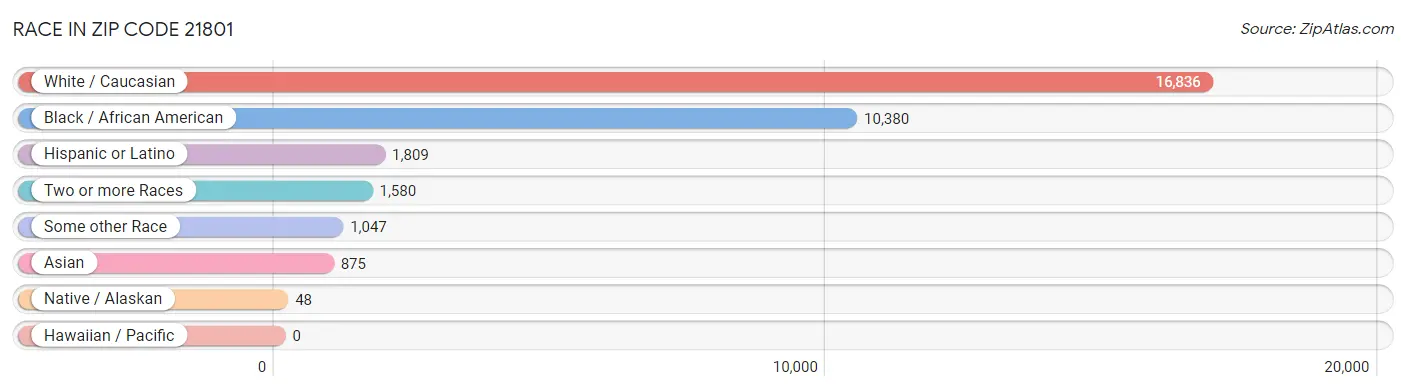 Race in Zip Code 21801