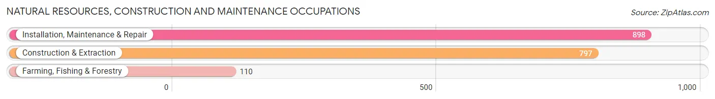 Natural Resources, Construction and Maintenance Occupations in Zip Code 21804