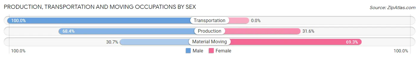 Production, Transportation and Moving Occupations by Sex in Zip Code 21875