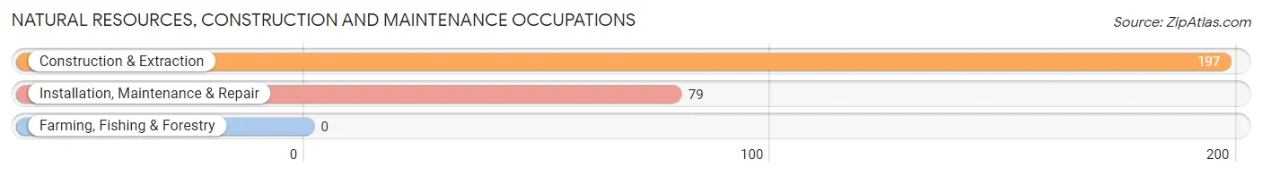 Natural Resources, Construction and Maintenance Occupations in Zip Code 22025