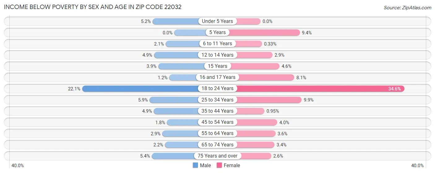 Income Below Poverty by Sex and Age in Zip Code 22032